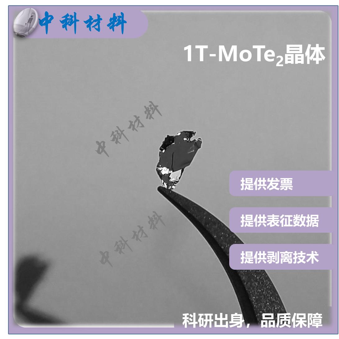 MoTe2